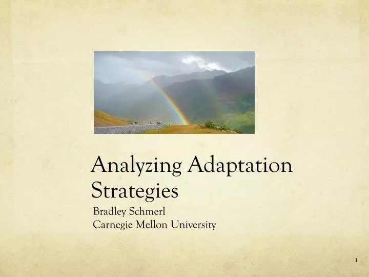 analyzing adaptation strategies