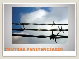 centres penitenciaris