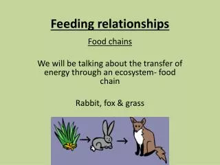 Feeding relationships
