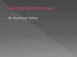 Animal Relationships