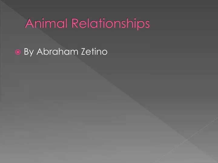 animal relationships