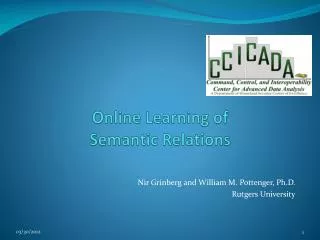 Online Learning of Semantic Relations