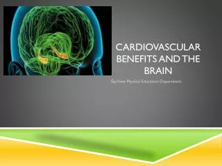 Cardiovascular benefits and the brain