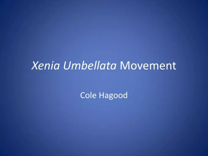 xenia umbellata movement