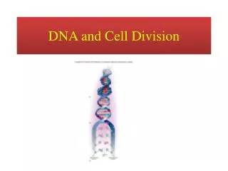 DNA and Cell Division