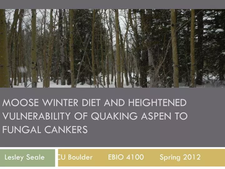 moose winter diet and heightened vulnerability of quaking aspen to fungal cankers