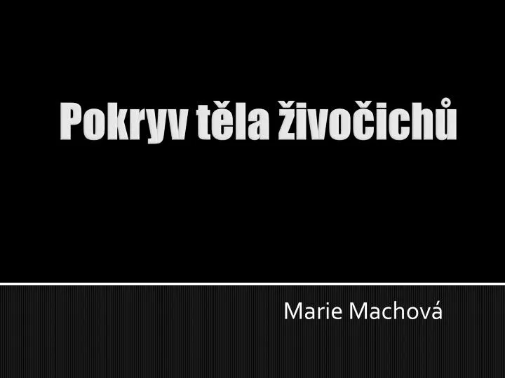 marie machov