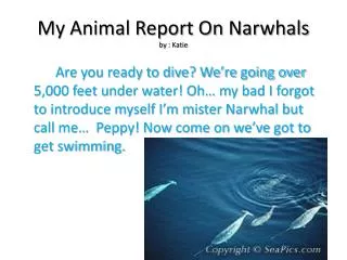 My Animal Report On Narwhals by : Katie