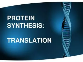 PROTEIN SYNTHESIS: TRANSLATION