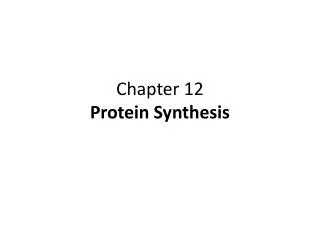 Chapter 12 Protein Synthesis
