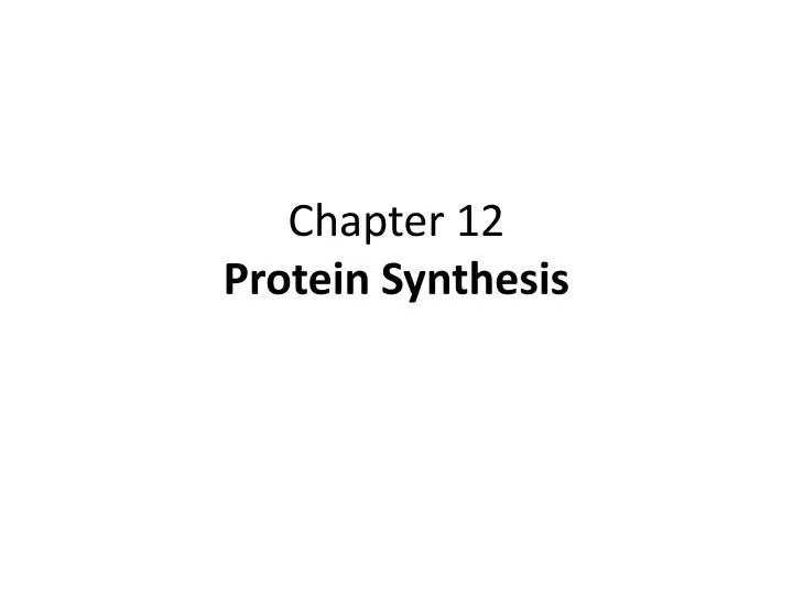 chapter 12 protein synthesis