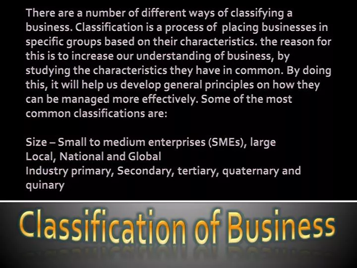 classification of business