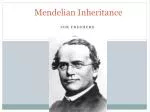 Mendelian Inheritance - slide 1