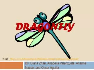 Dragonfly