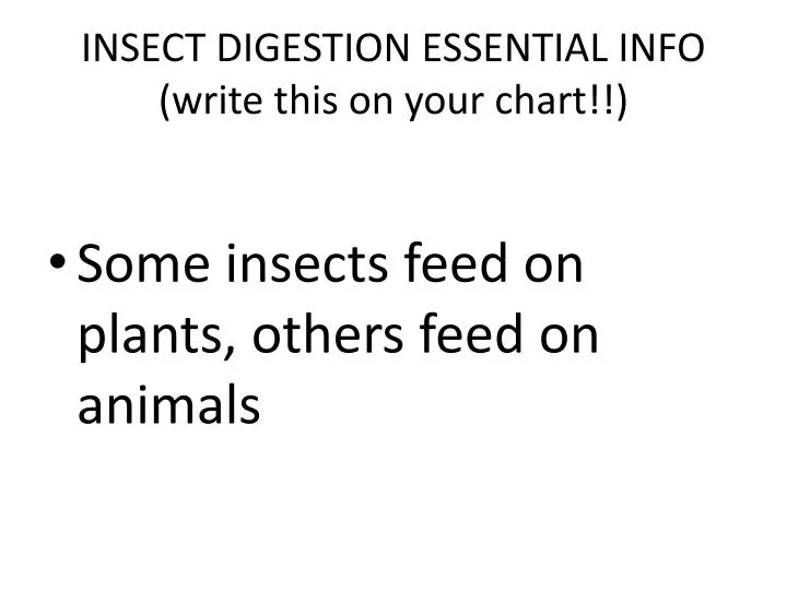 insect digestion essential info write this on your chart