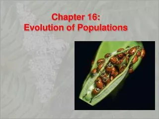Chapter 16: Evolution of Populations