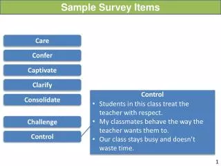 Sample Survey Items