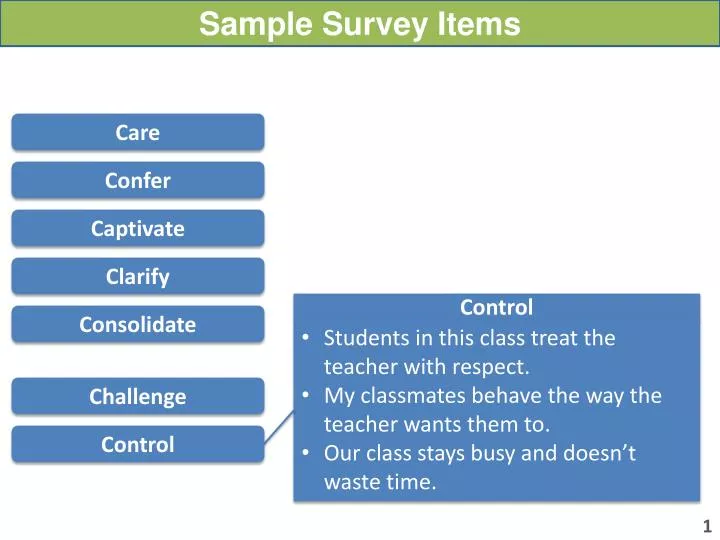 sample survey items