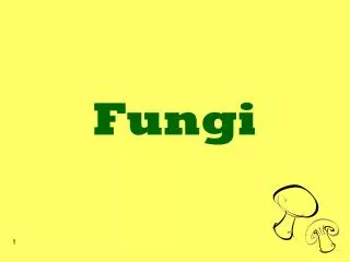 Fungi