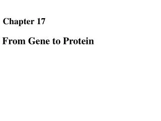 From Gene to Protein