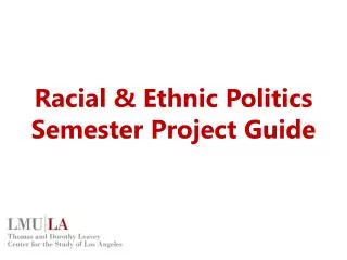 Racial &amp; Ethnic Politics Semester Project Guide