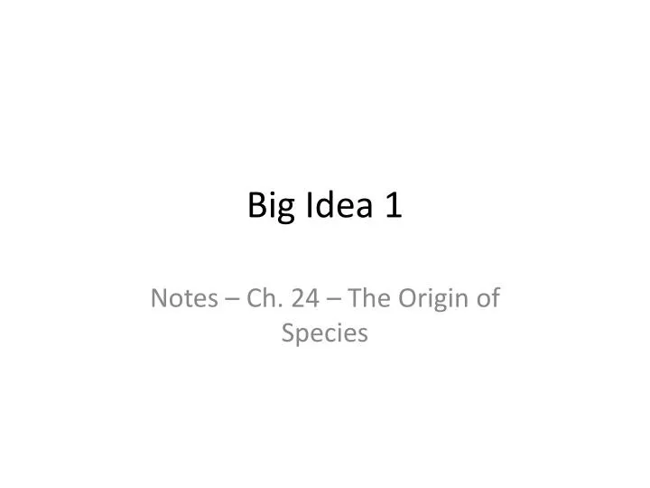 big idea 1