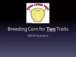 Breeding Corn for Two Traits