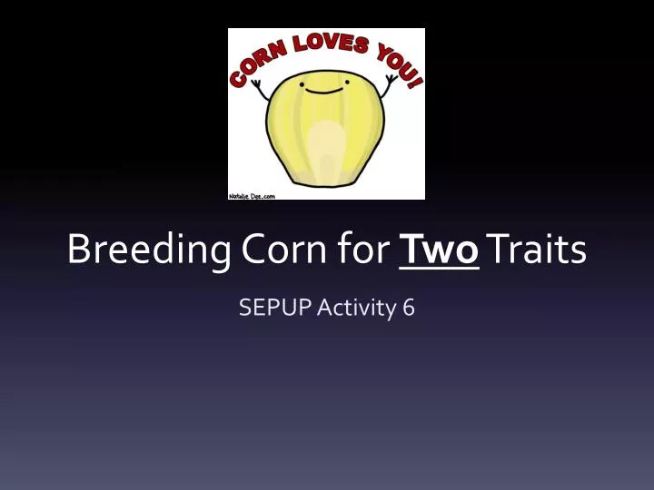 breeding corn for two traits