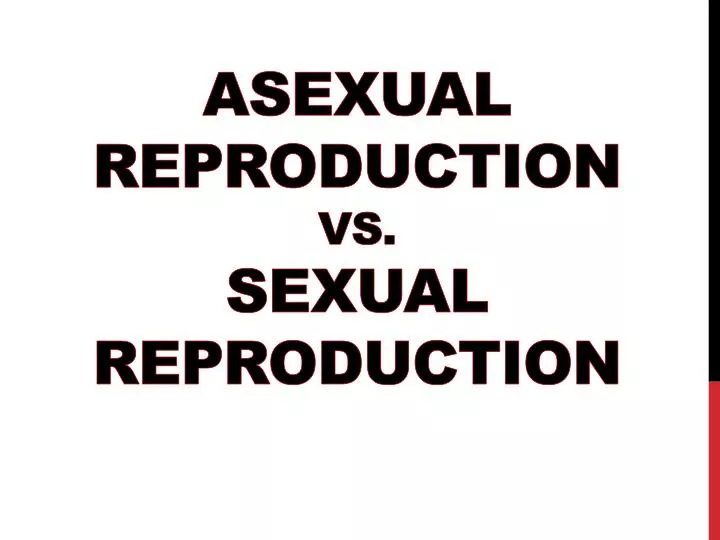 asexual reproduction vs sexual reproduction