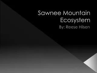 Sawnee Mountain Ecosystem