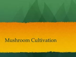 Mushroom Cultivation