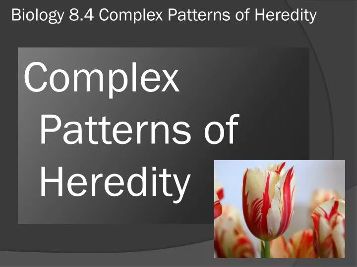 biology 8 4 complex patterns of heredity