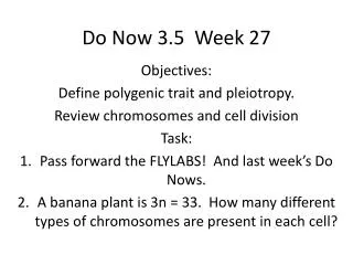 Do Now 3.5 Week 27