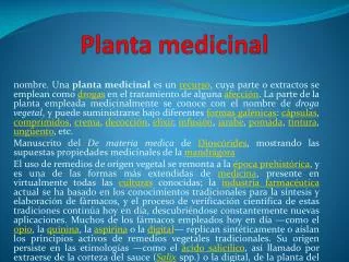 planta medicinal
