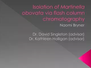 Isolation of Martinella obovata via flash column chromatography