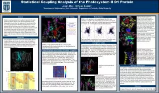 Statistical Coupling Analysis of the Photosystem II D1 Protein