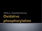Oxidative phosphorylation - slide 1