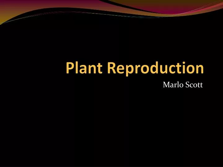 plant reproduction