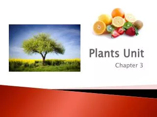 Plants Unit