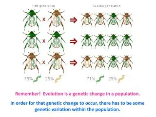 Remember! Evolution is a genetic change in a population.
