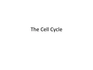 The Cell Cycle