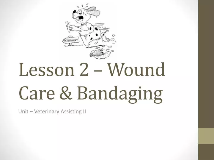 lesson 2 wound care bandaging