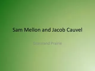 Sam Mellon and Jacob Cauvel
