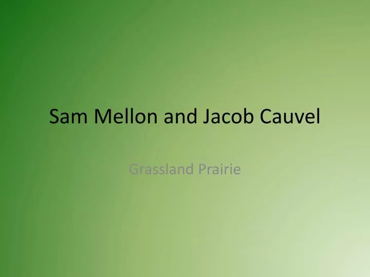 sam mellon and jacob cauvel