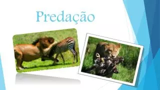 preda o