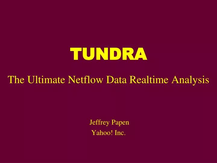 tundra the ultimate netflow data realtime analysis
