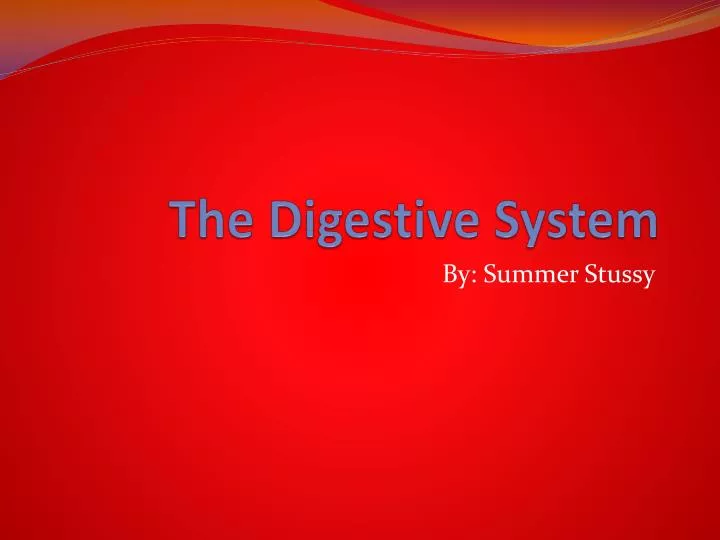 the digestive system