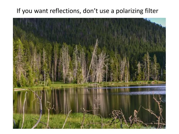 if you want reflections don t use a polarizing filter
