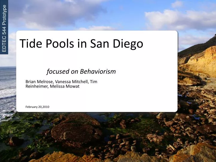 tide pools in san diego focused on behaviorism