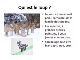 qui est le loup